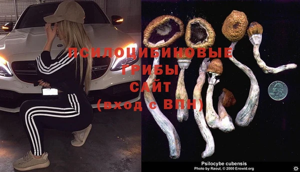 спайс Верхний Тагил
