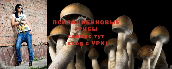 МДПВ Верхнеуральск